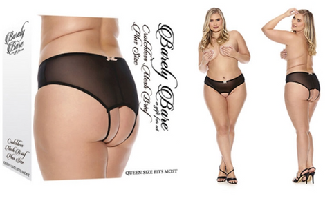 Crotchless Mesh Brief - Queen Size